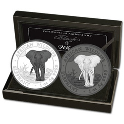 Ensemble de 2 pièces African Wildlife : Éléphant de Somalie « Black & White » coloré 2 x 1 once d'argent 2025