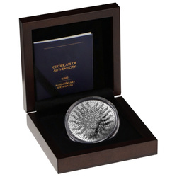 Niue: Year of a Dragon 2 uncje Srebra 2024 Prooflike