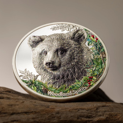 Mongolia: Woodland Spirits - Bear kolorowany 1 uncja Srebra 2024 Proof