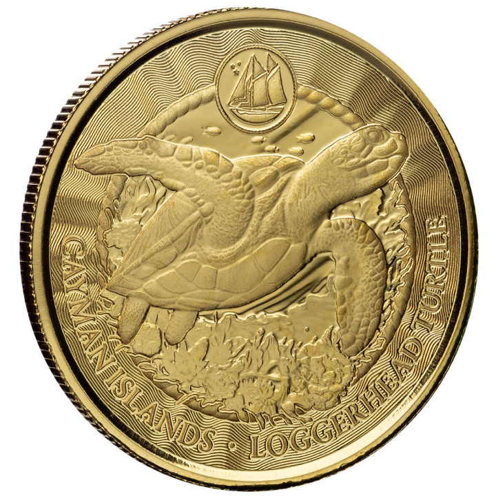 Cayman Islands: Loggerhead Turtle 1 uncja Złota 2024 Prooflike