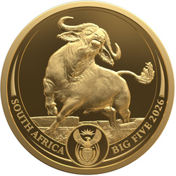 Złota Moneta Big Five III: Buffalo 1/4 uncji Złota 2026 Proof