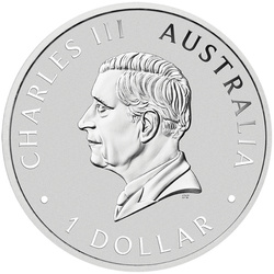 Australian Wedge-Tailed Eagle koloriert 1 oz Silber 2025 (Münze in Karte)