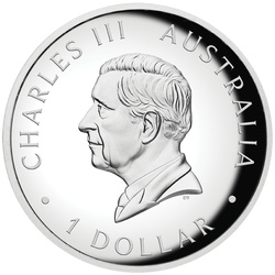 Canguro australiano colorato 1 oncia d'argento 2025 Proof High Relief