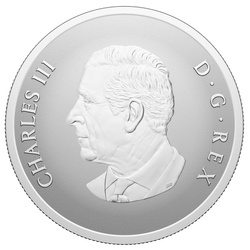 Canada: Remembrance Day coloured $20 Silber 2024 Proof Coin 