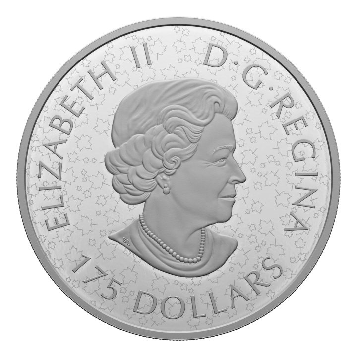 Canadá: Birds In Shadow Box $175 Plata 2022 Proof (R&D LAB)