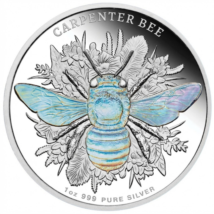 Niue: Australian Native Bees - Carpenter Bee 1 uncja Srebra 2026 Proof Hologram