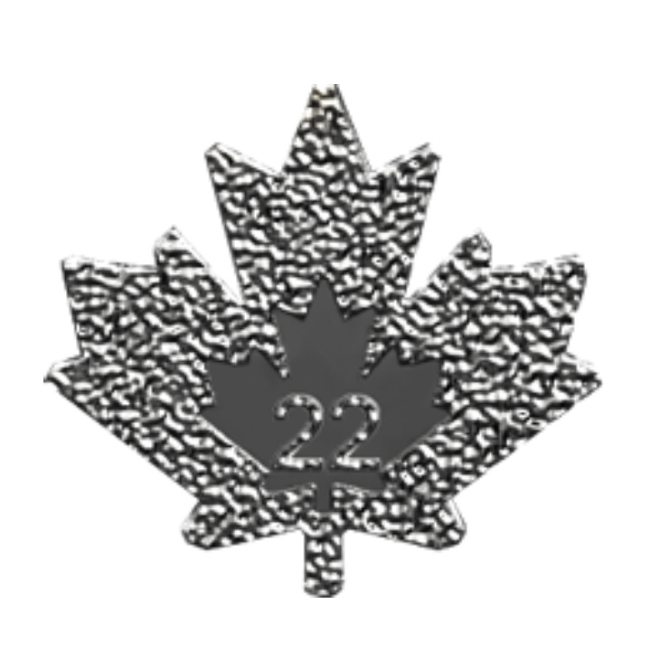 Ensemble de 3 pièces Canadian Maple Leaf Treasured 3 x 1 once d'argent 2022, 2023, 2024