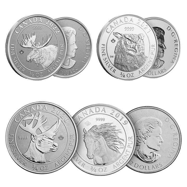 Royal Canadian Mint - Losowa Moneta 3/4 uncji Srebra
