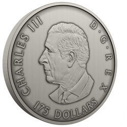 Kanada: Predator oder Prey in Shadow Box $175 2025 Silber Antique Finish Münze