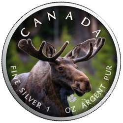 Canada's Wildlife: Maple Leaf - Moose coloured 1 oz Silver 2021 Coin