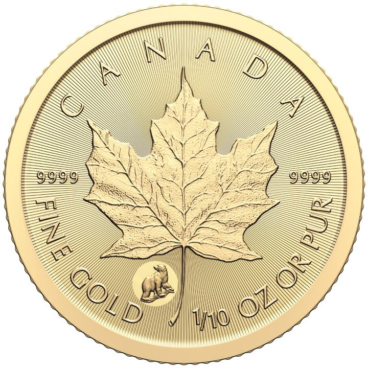 Foglia d'acero canadese Treasured 1/10 oncia d'oro 2024 Polar Bear Privy Mark (First Strikes)