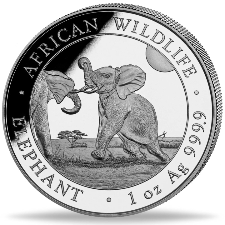 African Wildlife : Éléphant de Somalie 1 once d'argent 2024 Proof Ultra High Relief