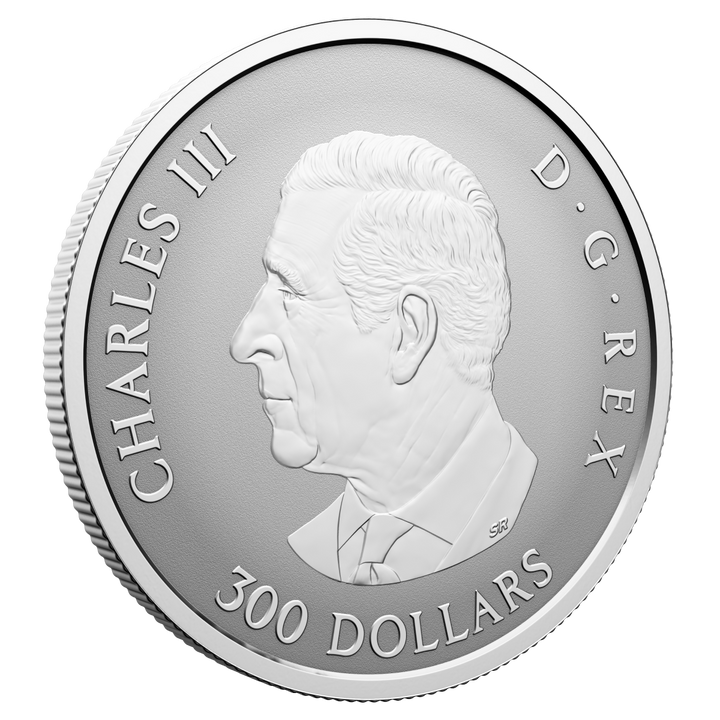 Platinmünze Kanada: Maple Leaf Forever 1 Unze Platin 2026 Reverse Proof