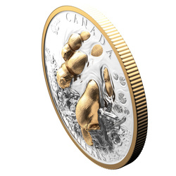 Canadá: Símbolo Canadiense – El Castor chapado en oro $50 Plata 2025 Proof High Relief