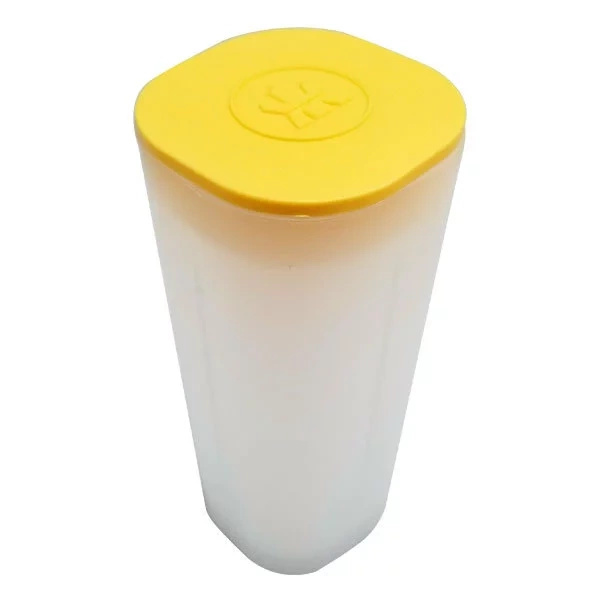 Maple Leaf canadese 1 oz argento 2026