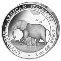 African Wildlife: Słoń Somalijski 1 uncja Srebra 2022 Proof Ultra High Relief