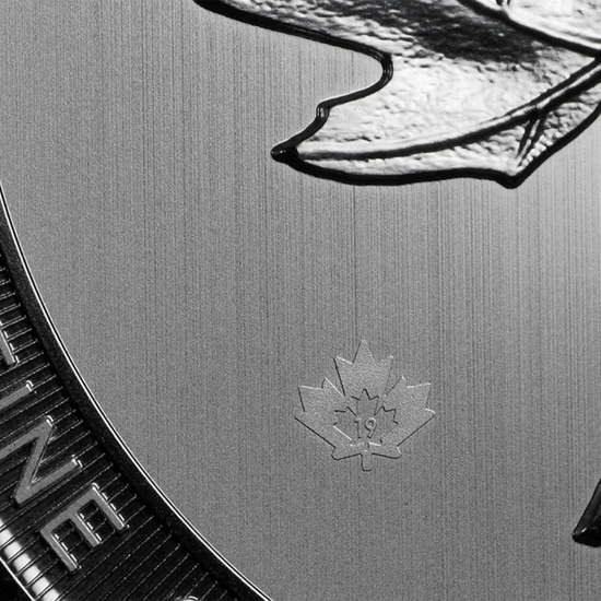 Feuille d'érable canadienne 10 onces d'argent 2019