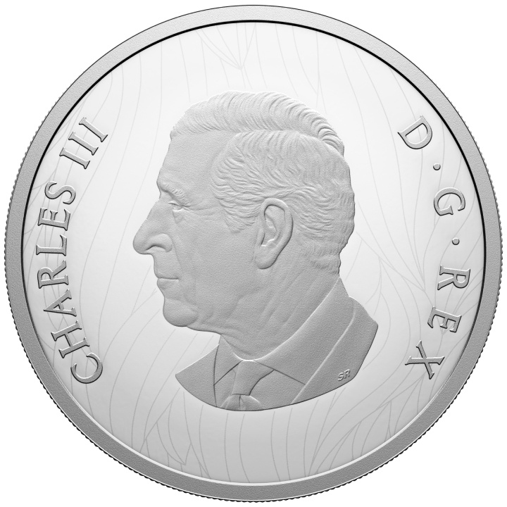 Canada: Weather Watch - Bison $30 Srebro 2024 Proof