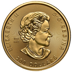 Złota Moneta Canada Klondike: Gorączka Złota - Passage for Gold 1 uncja Złota 2023
