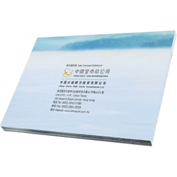 Čínská panda 1 gram platiny 2022