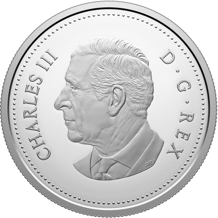 Canada: Tomba del Milite Ignoto Dollaro Argento 2025 Proof