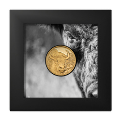 Mongolia: Bison 1/10 oz Gold 2025 Proof Coin