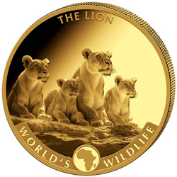 Congo: World‘s Wildlife - The Lion 2025 Proof Set