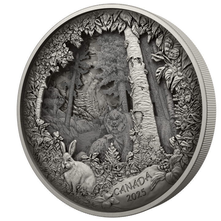 Kanada: Predator oder Prey in Shadow Box $175 2025 Silber Antique Finish Münze