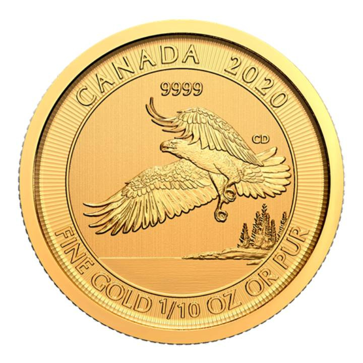 Canada: The Bald Eagle 1/10 uncji Złota 2020