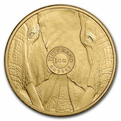 Big Five: Elephant 1 uncja Złota 2023