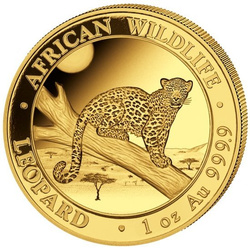 Fauna africana: Leopardo 1 oncia d'oro 2021