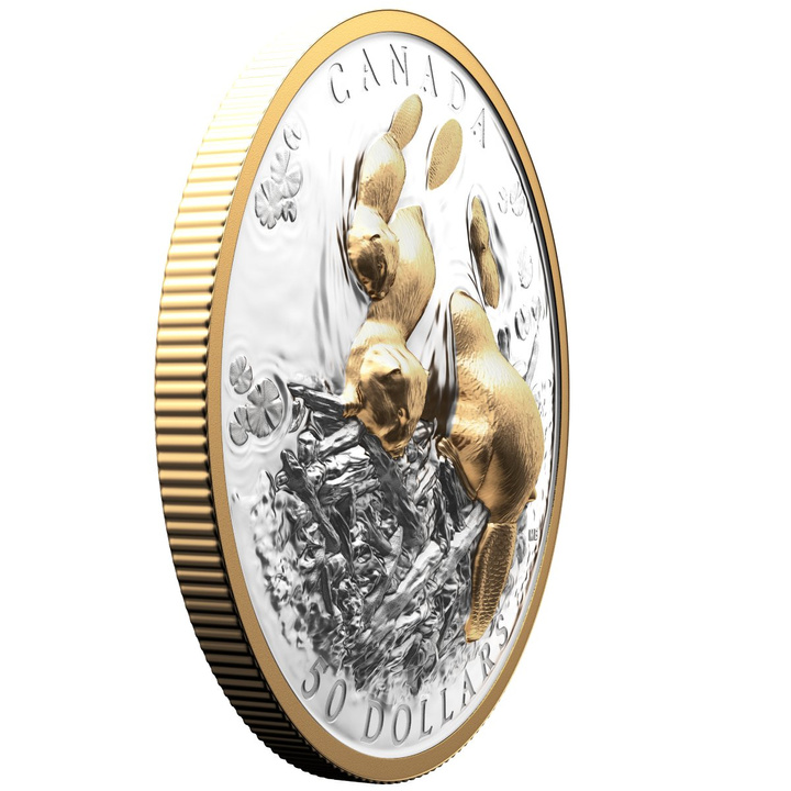 Kanada: Canadian Symbol – The Beaver vergoldet $50 Silber 2025 Proof High Relief