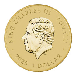 Tuvalu: Teenage Mutant Ninja Turtles 13,5 g di bronzo alluminato 2025