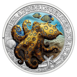Blue-Ringed Octopus coloured 3 Euro Copper 2022