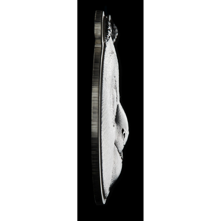 Niue: Kung Fu Panda - Po coloured 2 oz Silver 2023 Ultra High Relief Shaped Coin