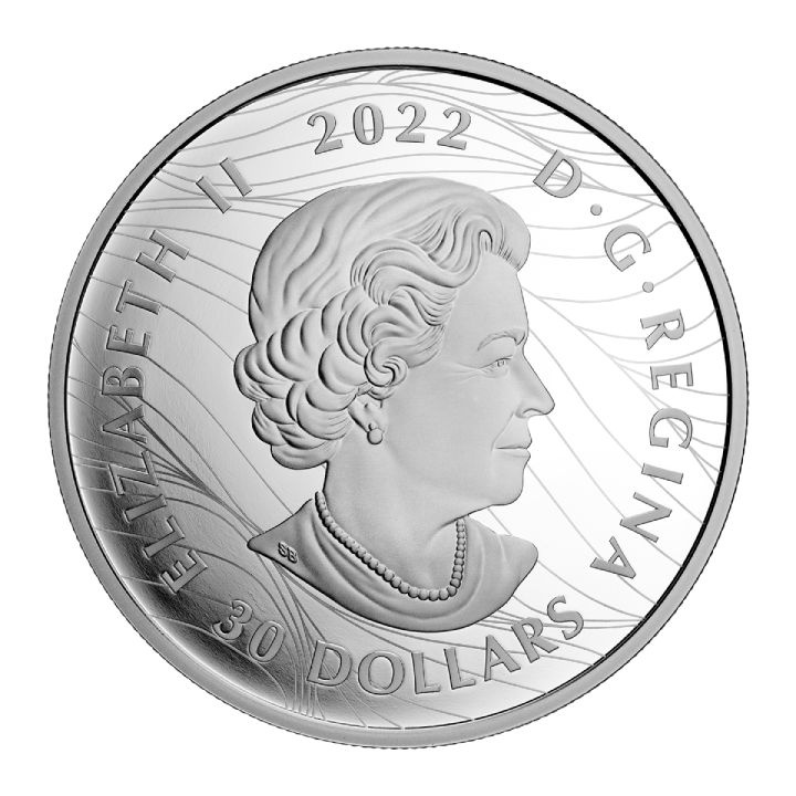 Canada: Visions of Canada 2 oz Silver 2022 Proof Coin