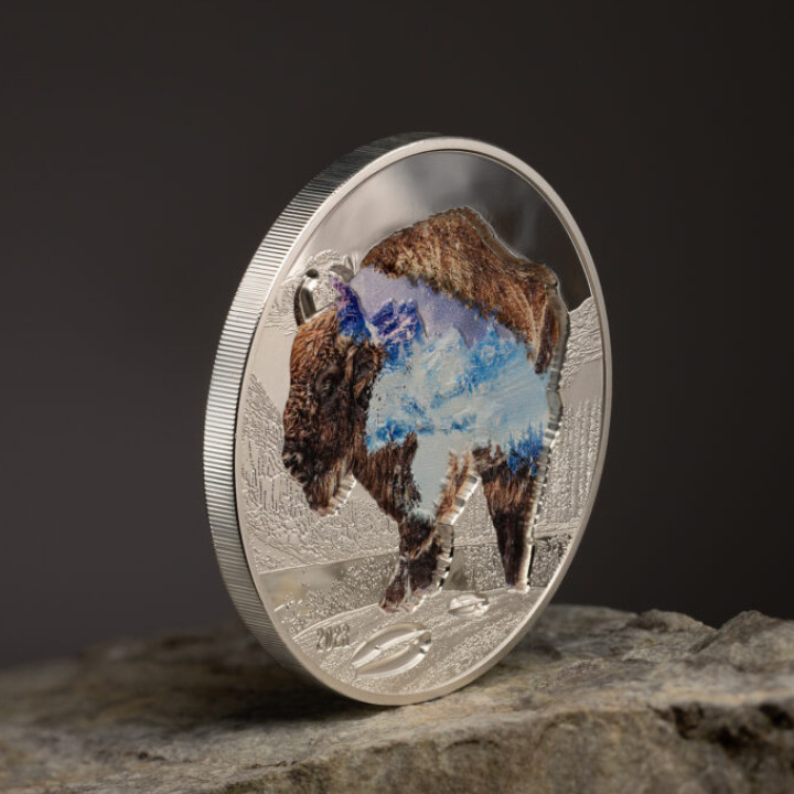 Mongolia: Into the Wild - Bison coloured 2 oz Silber 2023 Proof Ultra High Relief