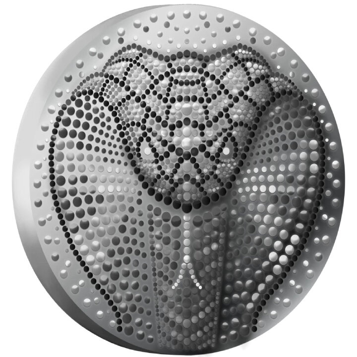 Niue: Anno del Serpente 2 once d'argento 2025 Prooflike