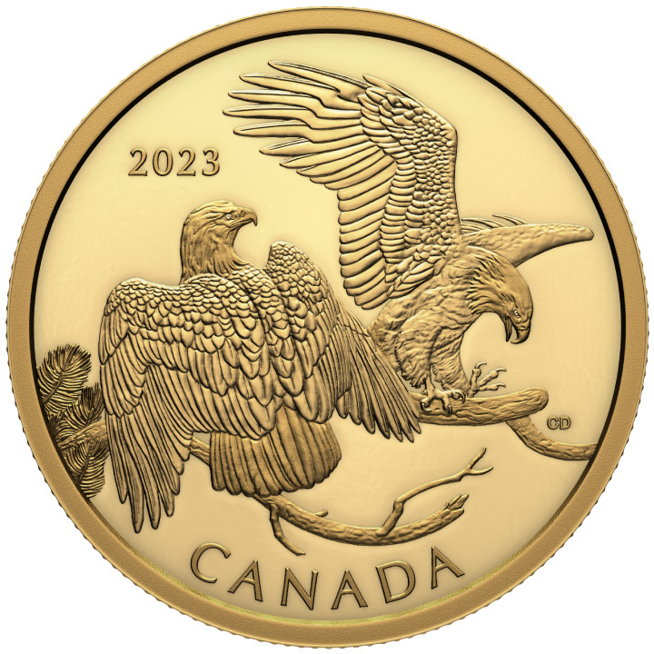 Canada : L'impressionnant aigle à tête blanche 200 en or 2023 Proof
