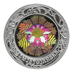 20 zł Noc Świętojańska