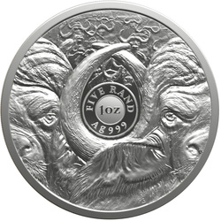 Srebrna Moneta Big Five III: Buffalo 1 uncja Srebra 2026 (w karcie)