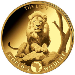 Congo : World‘s Wildlife - The Lion 2025 Proof Set