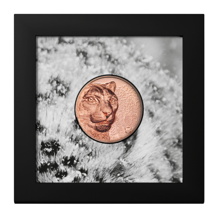 Mongolia: Snow Leopard 50 gram Copper 2024 Prooflike
