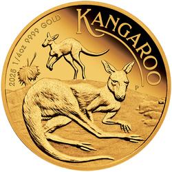 Kangourou australien 1/4 once d'or 2025 Proof