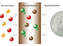 Capsula per monete Quadrum Intercept 24 mm 6 pezzi
