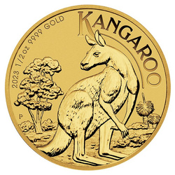 Kangourou australien 1/2 once d'or 2023