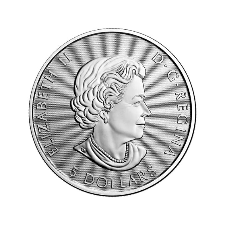 Canadá: El Majestuoso Oso Polar 1 oz Plata 2022