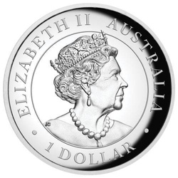 Australijski Kangur 1 uncja Srebra 2020 Proof Kolorowany High Relief