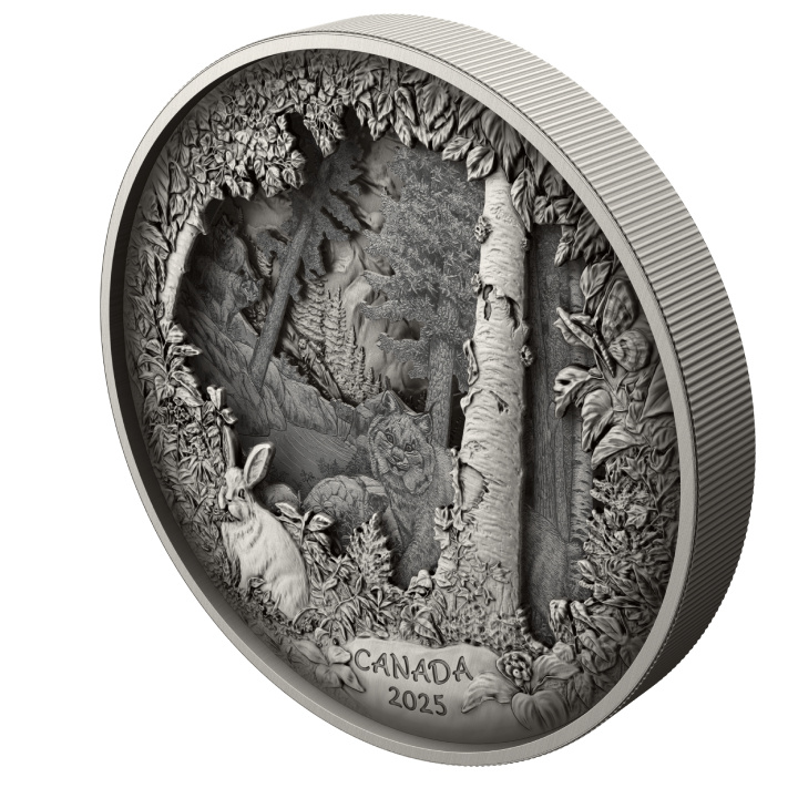 Canada: Predatore o preda in cornice $175 Argento 2025 Finitura anticata