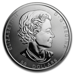 Maple Leaf 10 oz Silber 2019